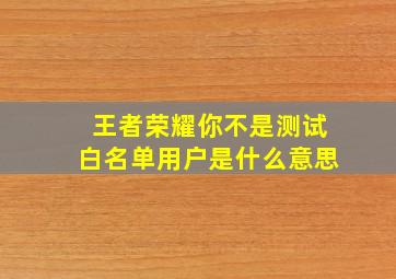 王者荣耀你不是测试白名单用户是什么意思