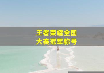 王者荣耀全国大赛冠军称号