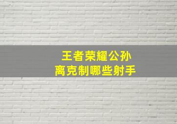 王者荣耀公孙离克制哪些射手