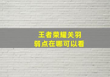 王者荣耀关羽弱点在哪可以看