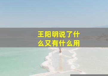 王阳明说了什么又有什么用