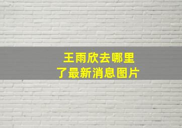 王雨欣去哪里了最新消息图片