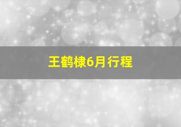 王鹤棣6月行程