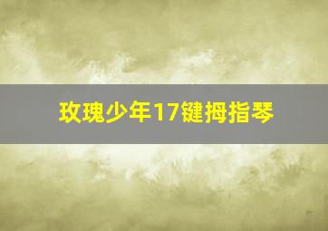 玫瑰少年17键拇指琴