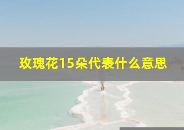 玫瑰花15朵代表什么意思