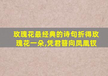 玫瑰花最经典的诗句折得玫瑰花一朵,凭君簪向凤凰钗