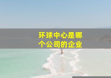 环球中心是哪个公司的企业