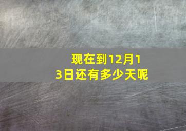 现在到12月13日还有多少天呢