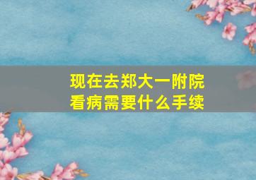 现在去郑大一附院看病需要什么手续