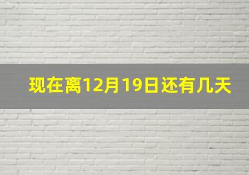 现在离12月19日还有几天