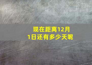 现在距离12月1日还有多少天呢