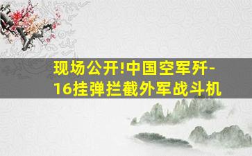 现场公开!中国空军歼-16挂弹拦截外军战斗机