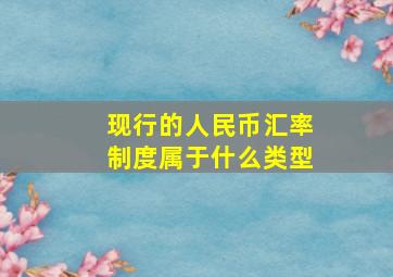 现行的人民币汇率制度属于什么类型