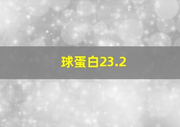 球蛋白23.2