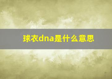 球衣dna是什么意思