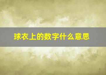 球衣上的数字什么意思