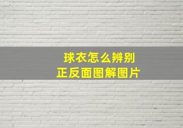 球衣怎么辨别正反面图解图片