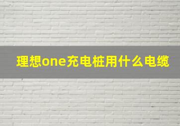 理想one充电桩用什么电缆