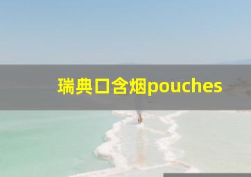 瑞典口含烟pouches