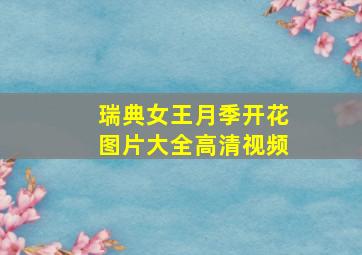 瑞典女王月季开花图片大全高清视频