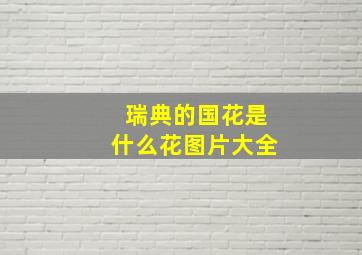 瑞典的国花是什么花图片大全