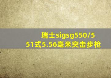 瑞士sigsg550/551式5.56毫米突击步枪