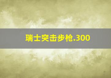 瑞士突击步枪.300