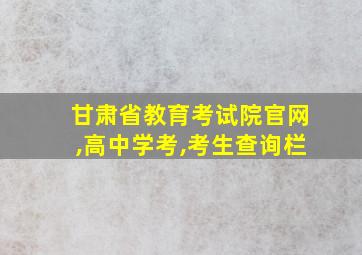 甘肃省教育考试院官网,高中学考,考生查询栏