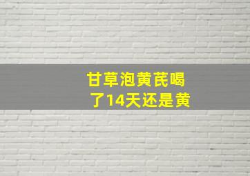 甘草泡黄芪喝了14天还是黄