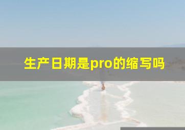 生产日期是pro的缩写吗