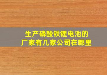 生产磷酸铁锂电池的厂家有几家公司在哪里