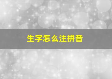 生字怎么注拼音