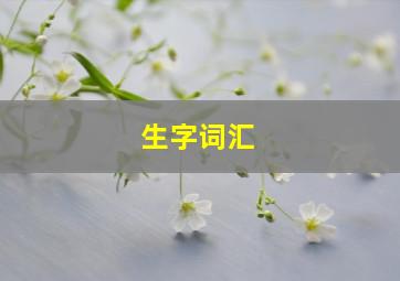 生字词汇