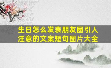 生日怎么发表朋友圈引人注意的文案短句图片大全