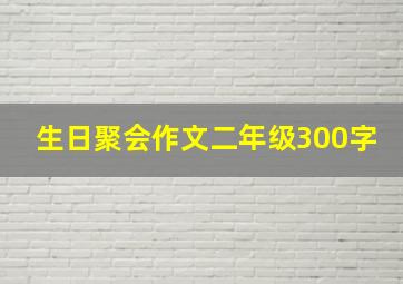 生日聚会作文二年级300字