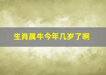 生肖属牛今年几岁了啊