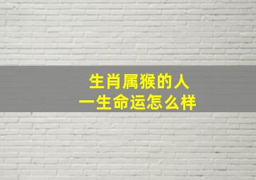 生肖属猴的人一生命运怎么样