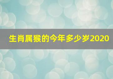 生肖属猴的今年多少岁2020