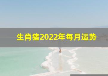 生肖猪2022年每月运势