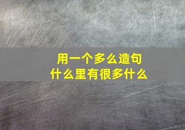 用一个多么造句什么里有很多什么