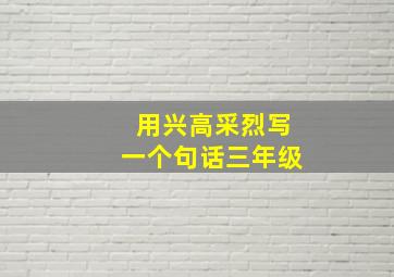 用兴高采烈写一个句话三年级