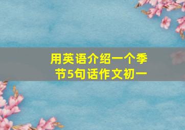 用英语介绍一个季节5句话作文初一