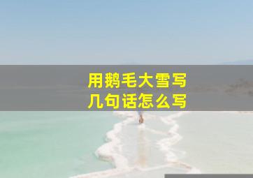 用鹅毛大雪写几句话怎么写