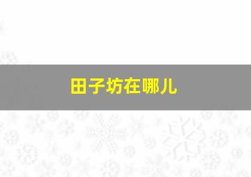 田子坊在哪儿