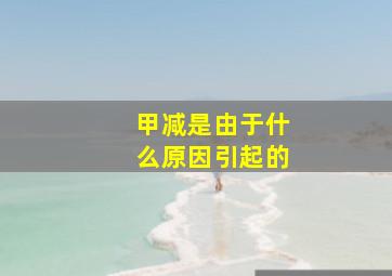 甲减是由于什么原因引起的