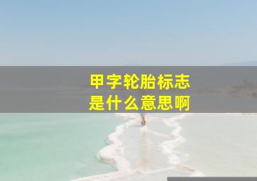 甲字轮胎标志是什么意思啊