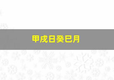 甲戌日癸巳月