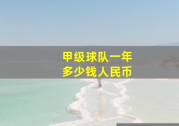 甲级球队一年多少钱人民币