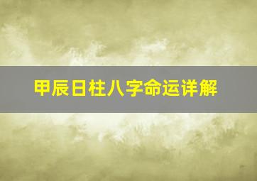 甲辰日柱八字命运详解