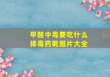 甲醛中毒要吃什么排毒药呢图片大全